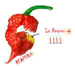 LA REAPER+